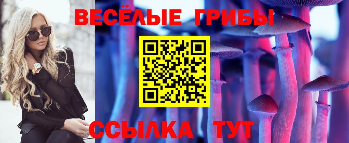 Галлюциногенные грибы Psilocybine cubensis Советск