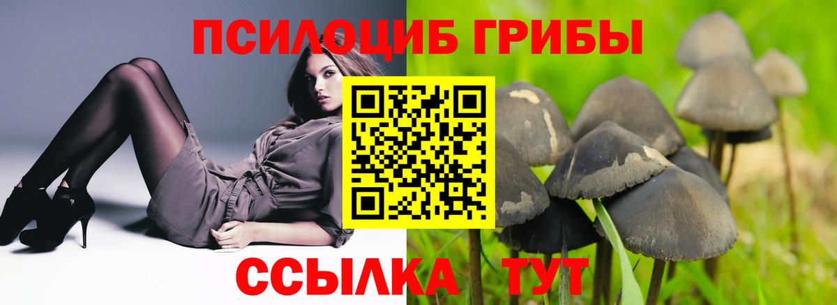 Псилоцибиновые грибы Cubensis  Вход с VPN  магазин    Советск  Галлюциногенные грибы мухоморы 